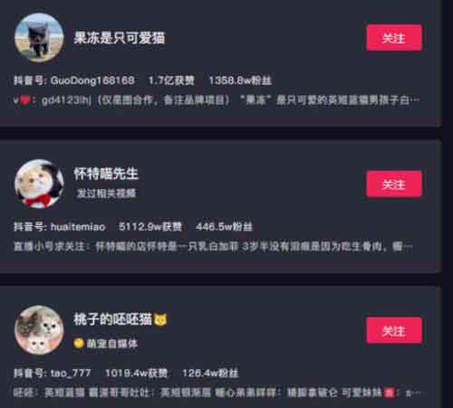 抖音宠物号:副业拍猫视频一公一母,月入10000+