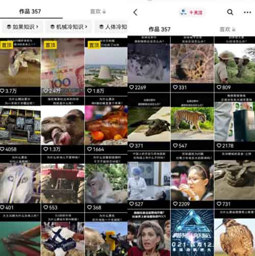 冷门短视频变现副业,冷知识无脑搬砖玩法