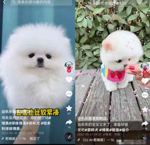 短视频无脑搬砖副业,在家即可月入10000+