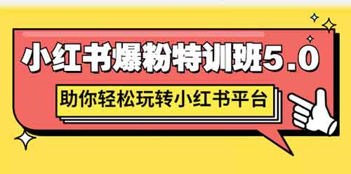 自媒体《小红书爆粉特训班5.0 助你轻松玩转小红书》视频教程