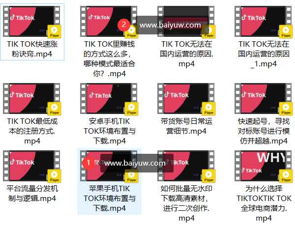 短视频《2022Tiktok从小白到精英实操特训营,带你掌握Tiktok账号运》营视频教程