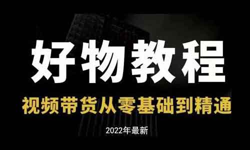 短视频带货《好物分享专业实操课 短视频带货从零基础到精通》视频教程