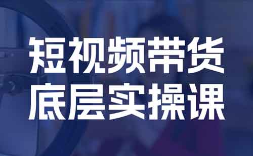 短视频副业《短视频带货底层实操课》