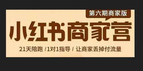 自媒体《小红书商家营第6期商家版》视频教程