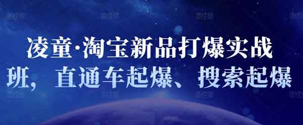 电商运营《淘宝新品打爆实战班 直通车起爆 搜索起爆》