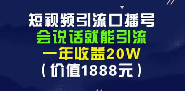 短视频《短视频引流口播号 会说话就能引流》