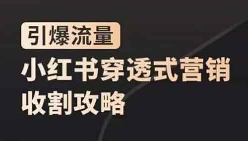 自媒体《小红书穿透式营销收割攻略,引爆流量,助你玩转小红书》视频教程