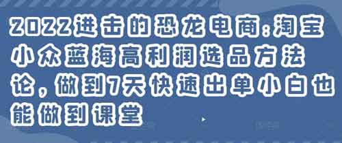 电商运营《淘宝小众蓝海高利润选品方法论,做到7天快速出单小白也能做到》视频教程