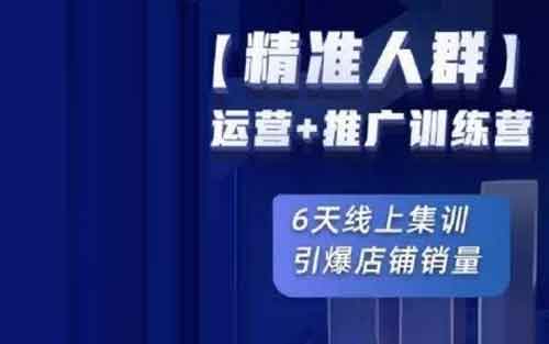 电商运营《精准人群运营+推广训练营》视频教程