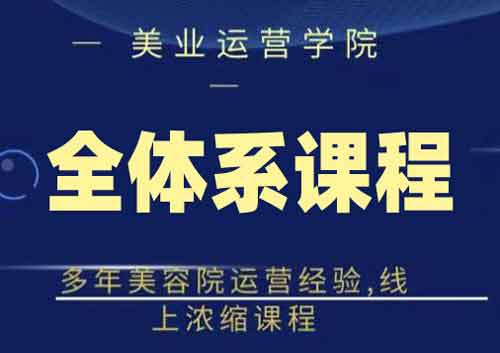 美容院副业《网红美容院全套营销落地课程》视频教程