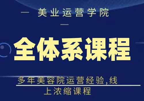 美容院副业《网红美容院全套营销落地课程》