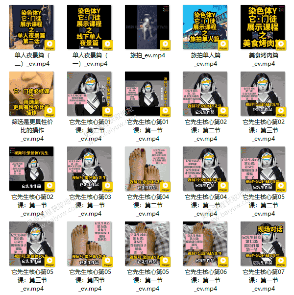 染色体《它先生门徒核心课》视频教程
