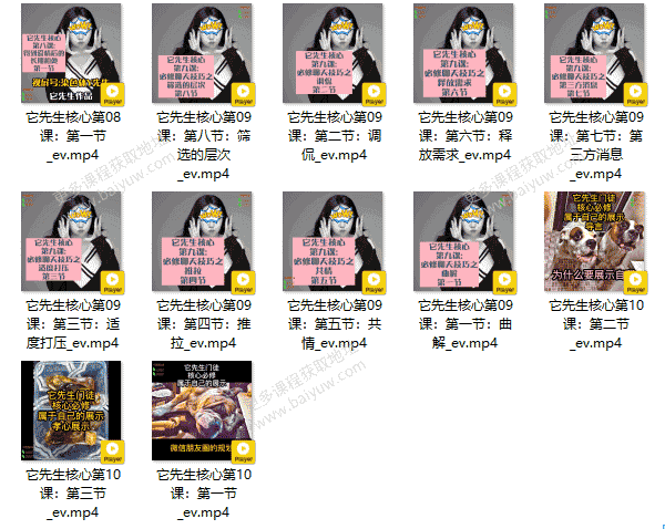 染色体《它先生门徒核心课》视频教程