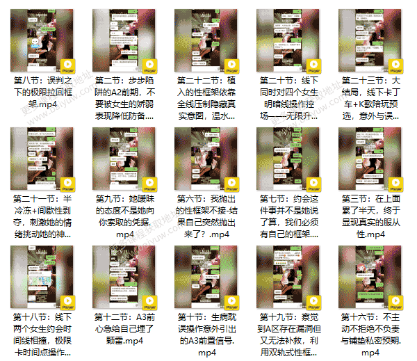 染色体Y先生《黑猫门徒课》视频教程
