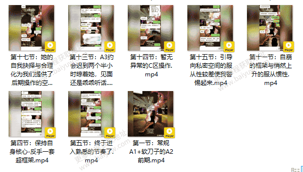 染色体Y先生《黑猫门徒课》视频教程